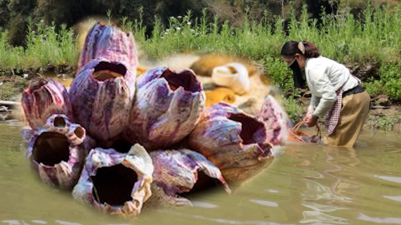 😱😱 Wow, giant clam, charming oversized pearl