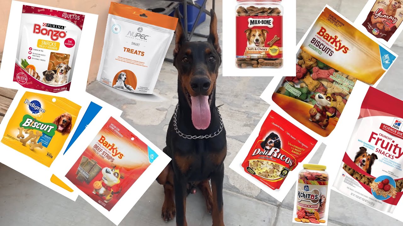 Los mejores premios para perro !!!