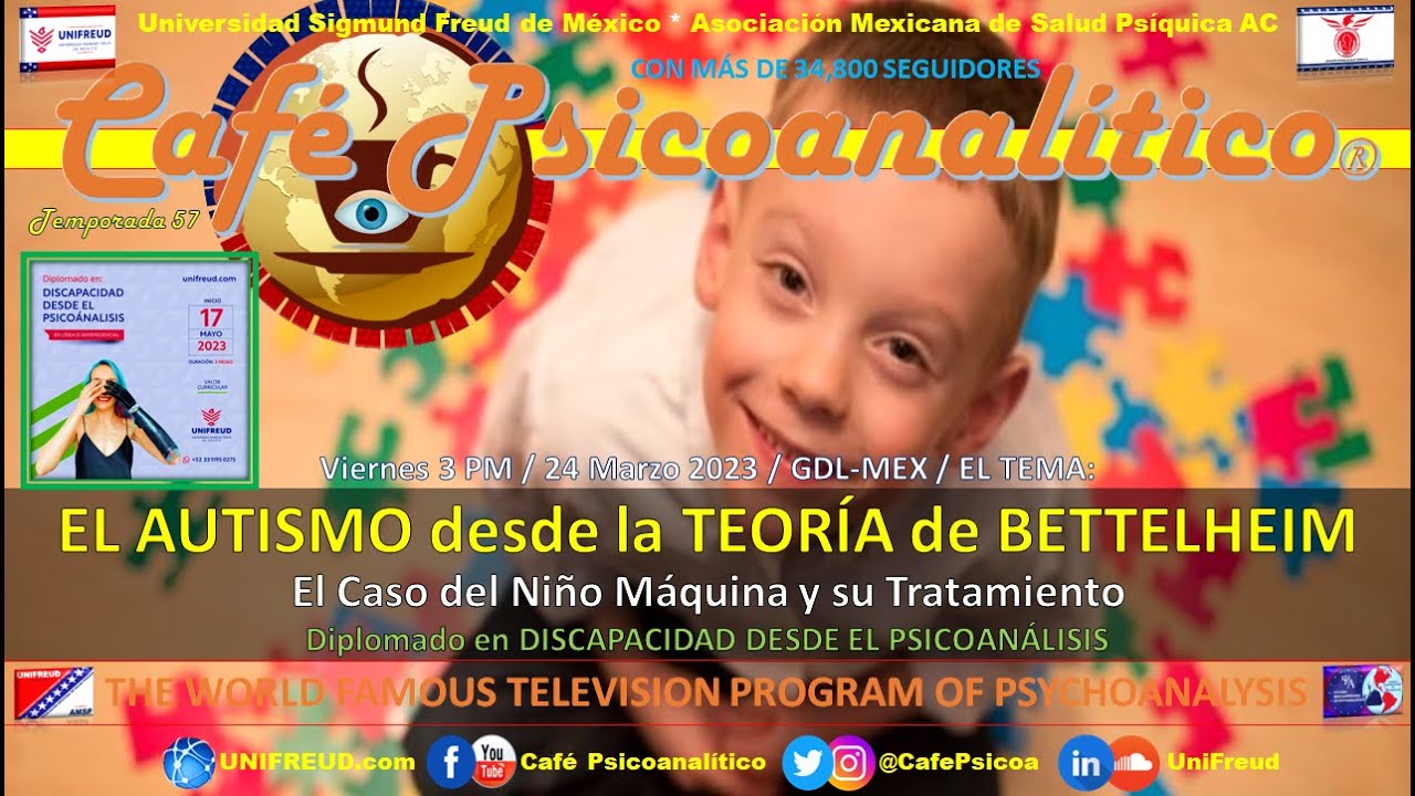 EL AUTISMO desde la Teoría de BETTELHEIM - El Caso del Niño Máquina | Discapacidad y Psicoanálisis