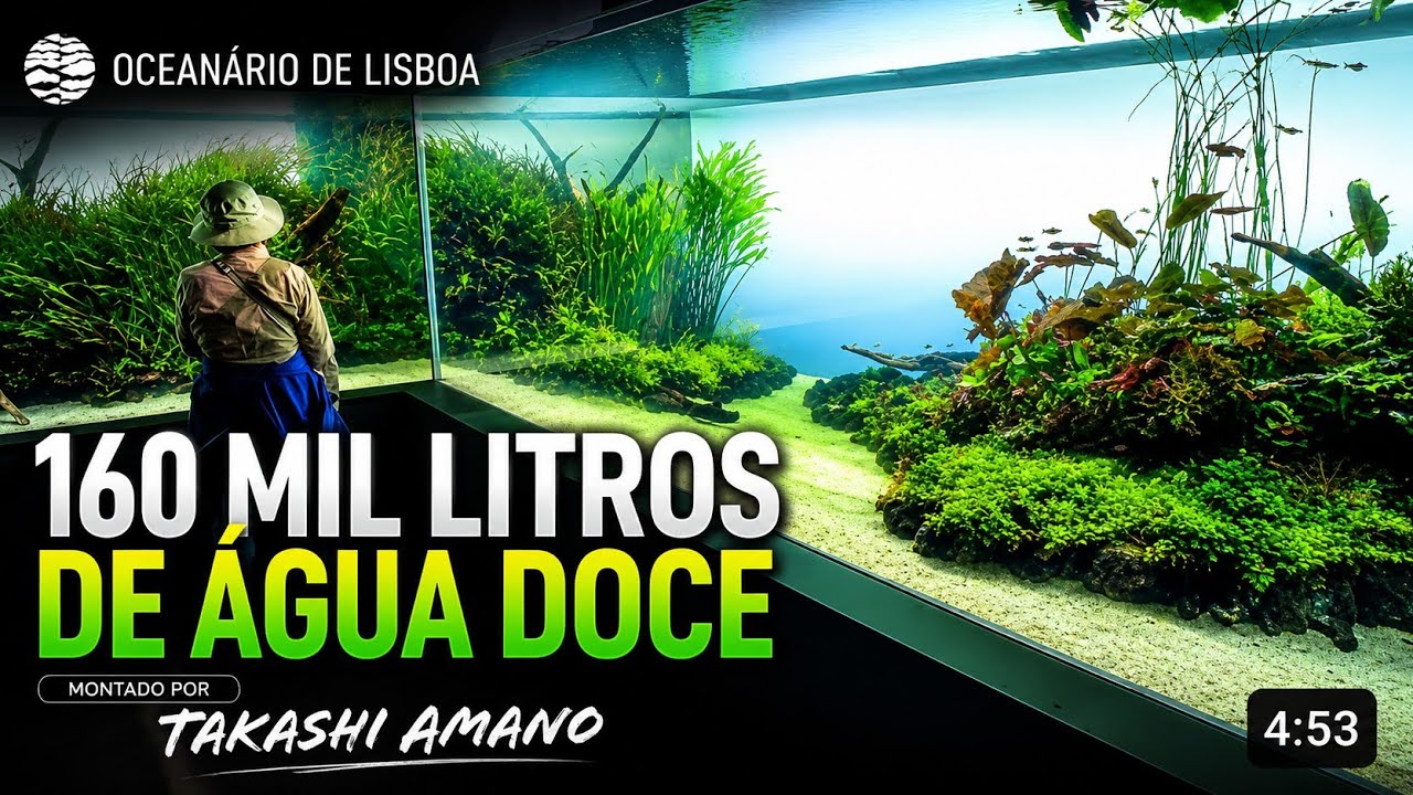 TAKASHI AMANO aQuÁrIO GIGANTE  😱 MAIOR AQUÁRIO de AQUASCAPING do MUNDO