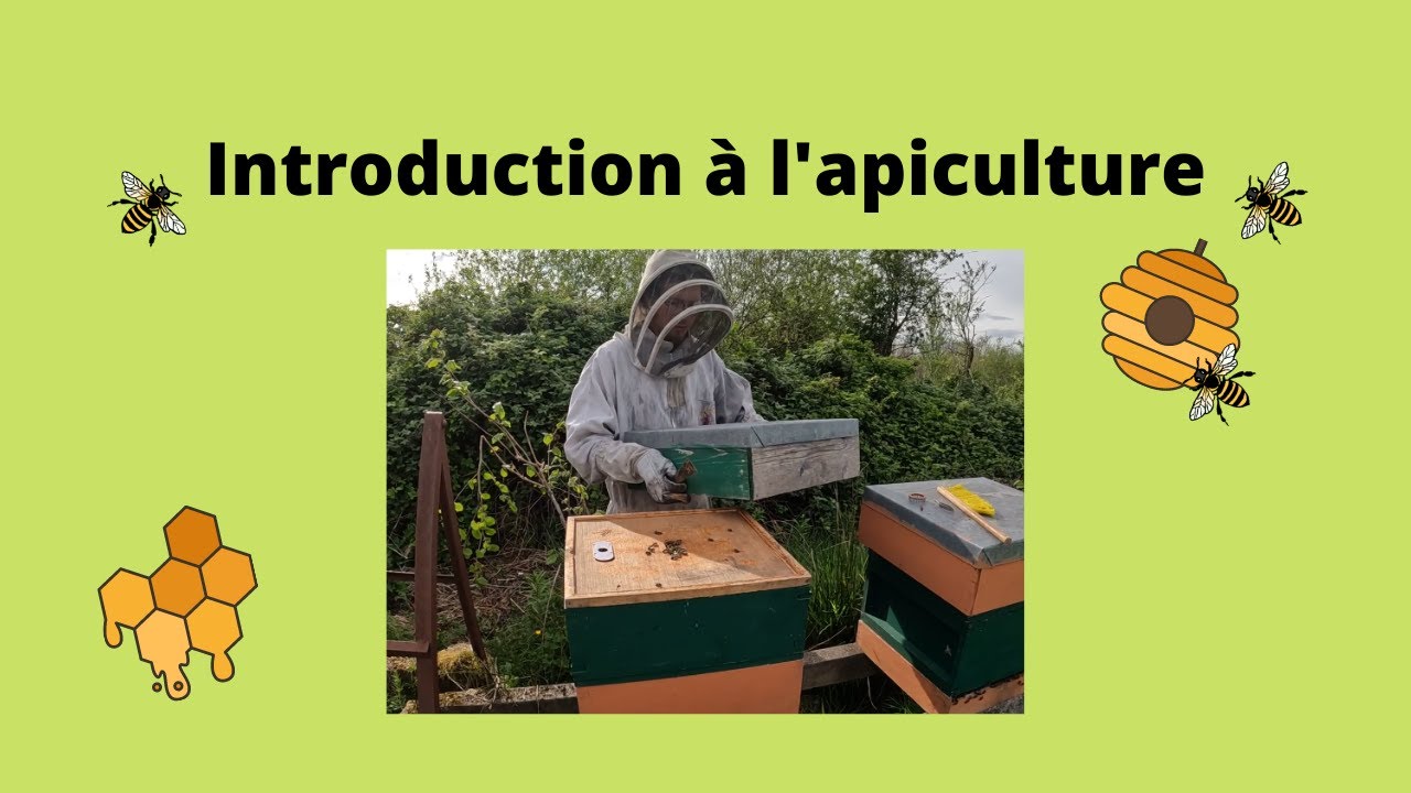 Introduction à l’apiculture