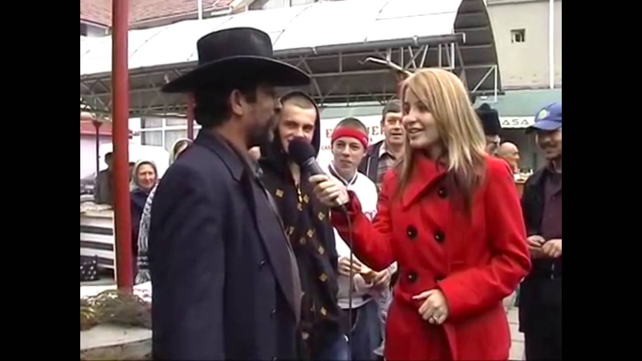 Cati cai se pot inhama la caruta ?