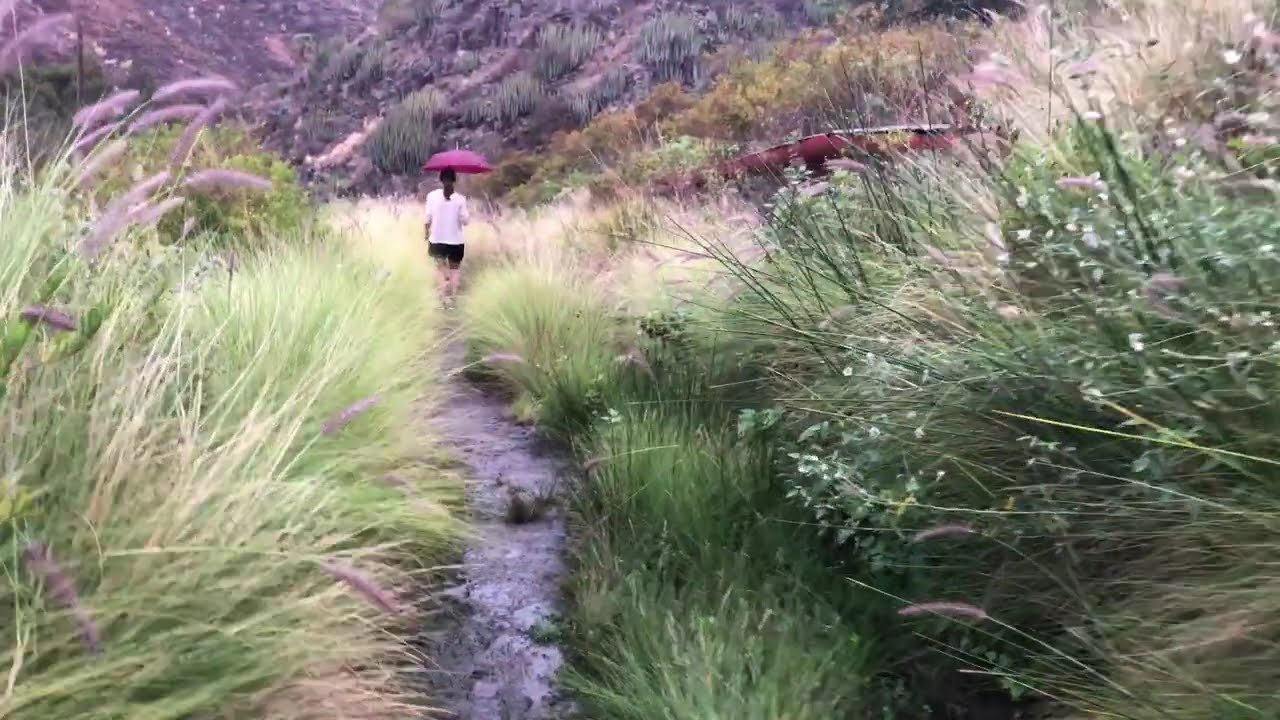 Rincón de ANAGA