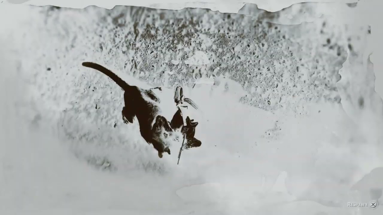 Legendary SNOW PANTHER!!