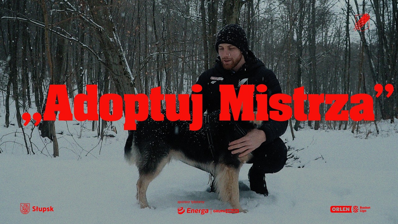 Adoptuj Mistrza