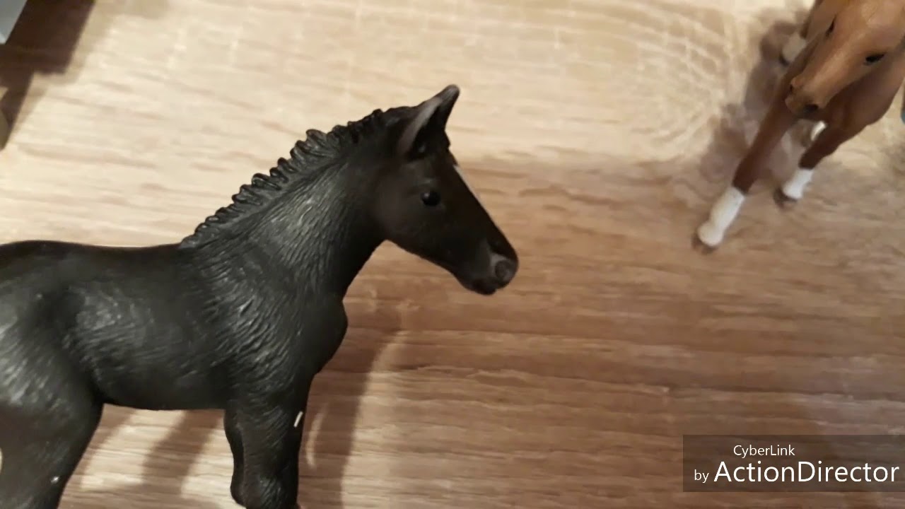 Fohlen WG🐎Folge 3 +Outtacks