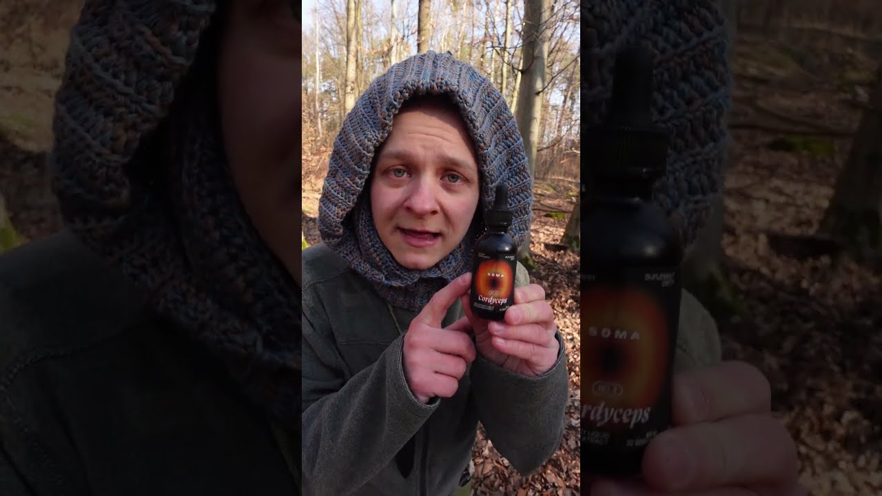 Cordyceps - grzyb SPORTU i ASTMY #grzyby #natura
