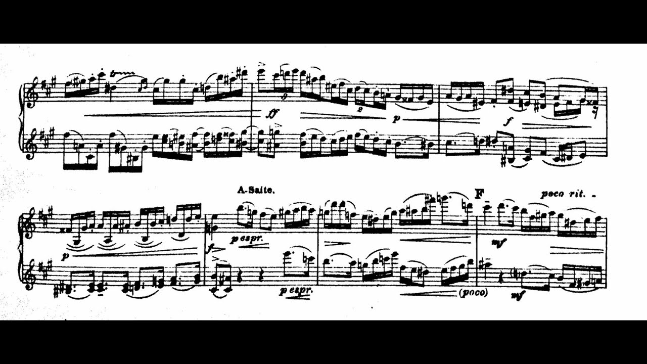 Max Reger - Allegro für zwei Violinen WoO II/18 [Score Video]