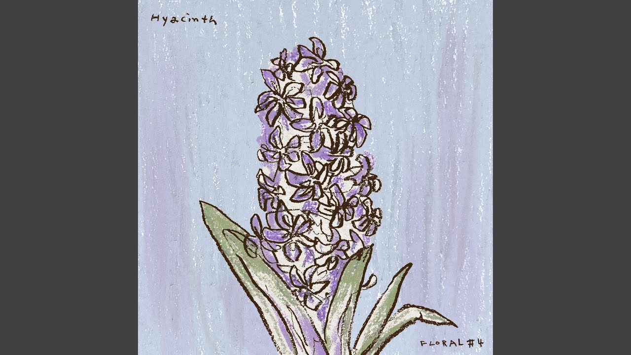 Hyacinth