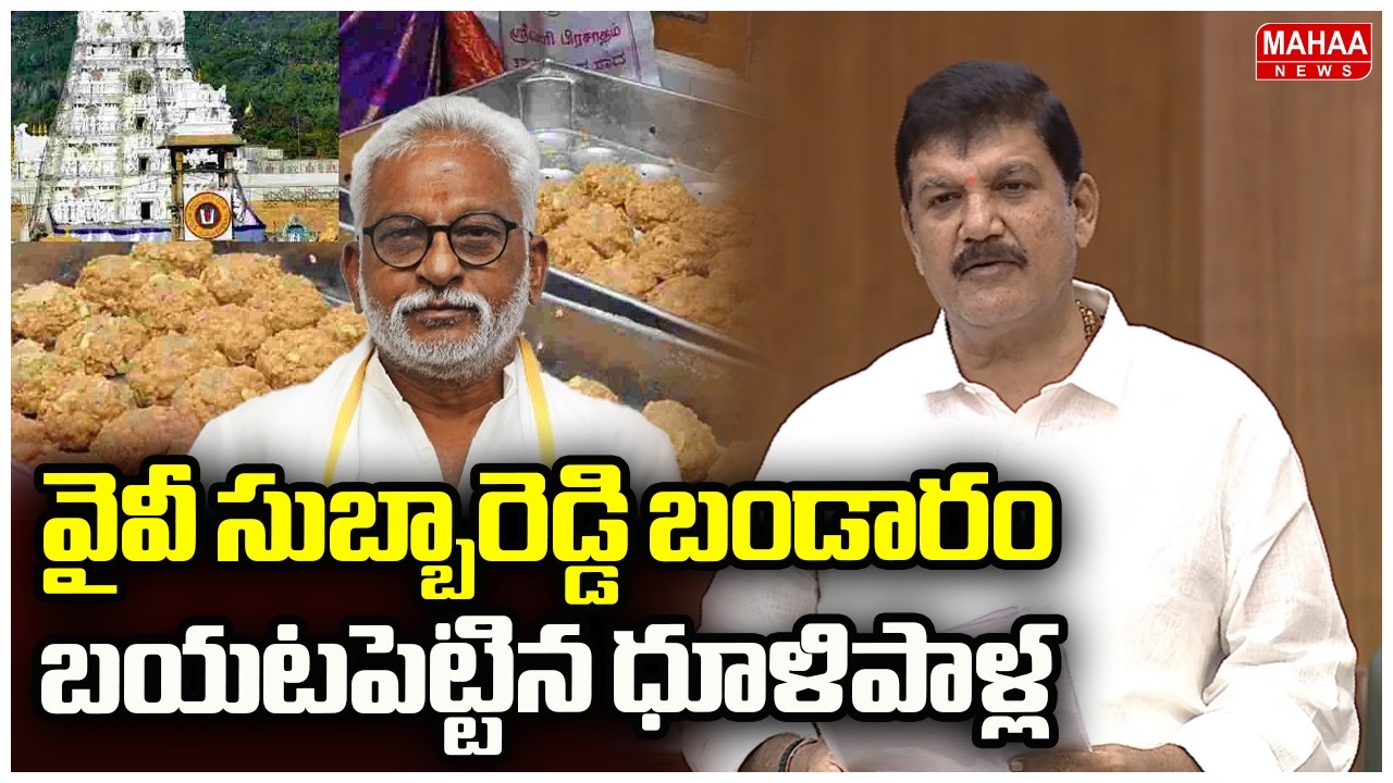 అసెంబ్లీ సాక్షిగా వైవీ సుబ్బారెడ్డి బండారం బయటపెట్టిన ధూళిపాళ్ల | Dulipalla Narendra | AP Assembly