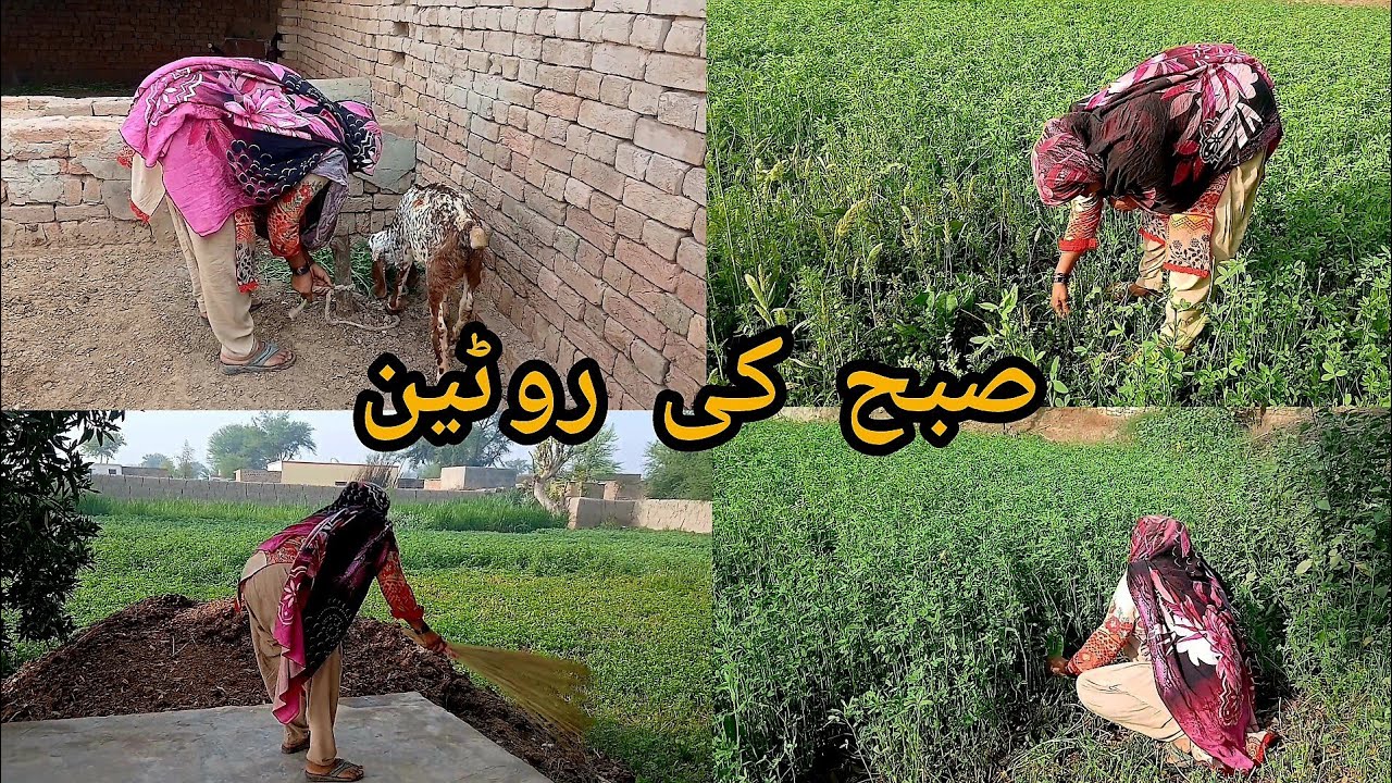 Juma K Din Ki Routine || Village Life || Happy Mano Family