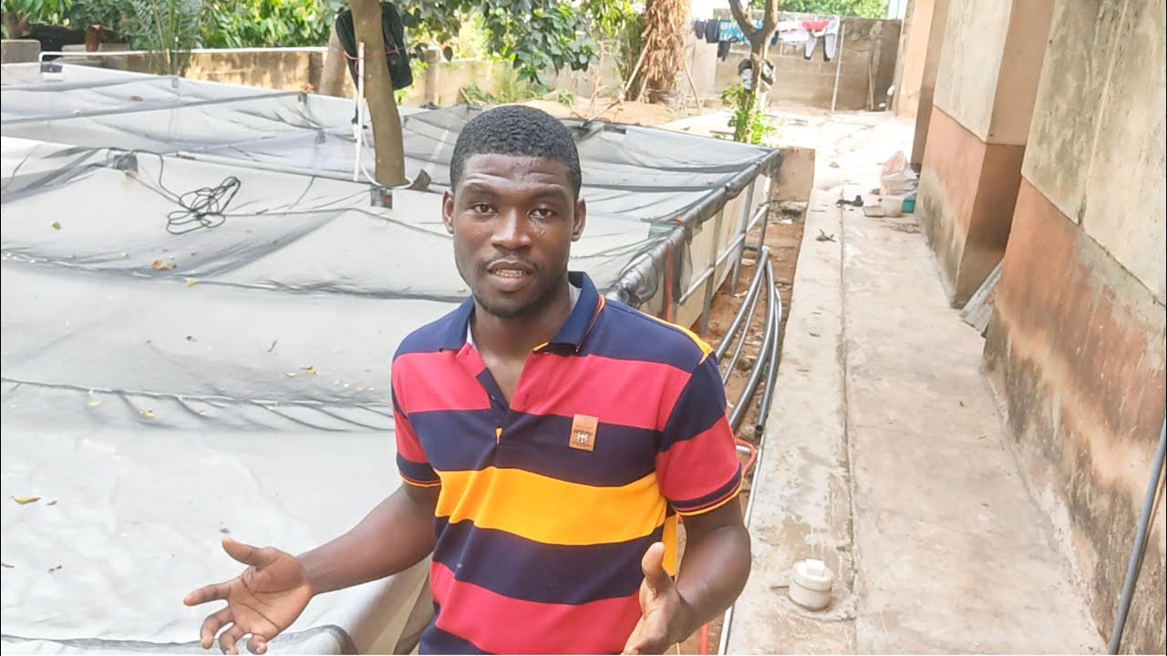 I left Dubai to start a catfish farm in Ghana | Apostle Kwadwo Safo and Kwame A Plus inspired me