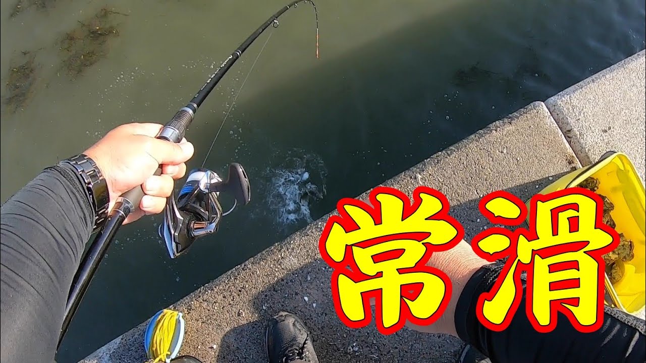 【常滑へ】釣り/海釣り/かぶせ釣り/カキチヌ/常滑/伊勢湾/知多/クロダイ/チヌ/カサゴ