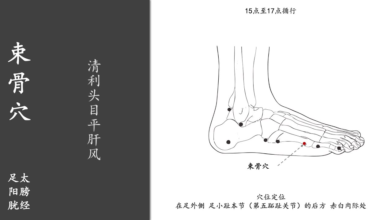 人体穴位186：束骨：清利头目平肝风，按揉束骨穴200次，每天坚持，能够治疗头痛、足痛 20220121.mp4