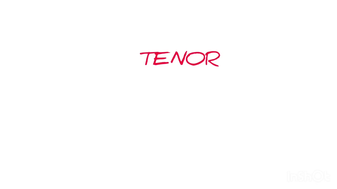 TENOR - DREAM ( Audio Officiel)
