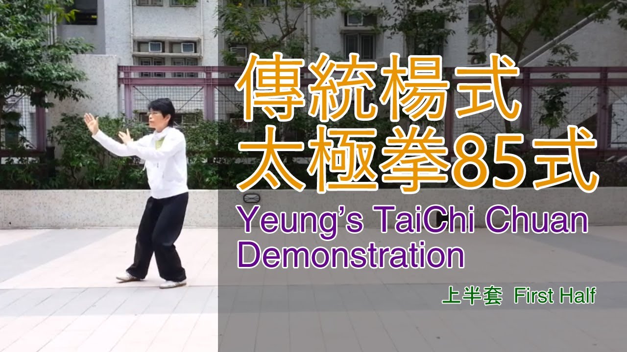 傳統楊式太極拳85式(上半套)