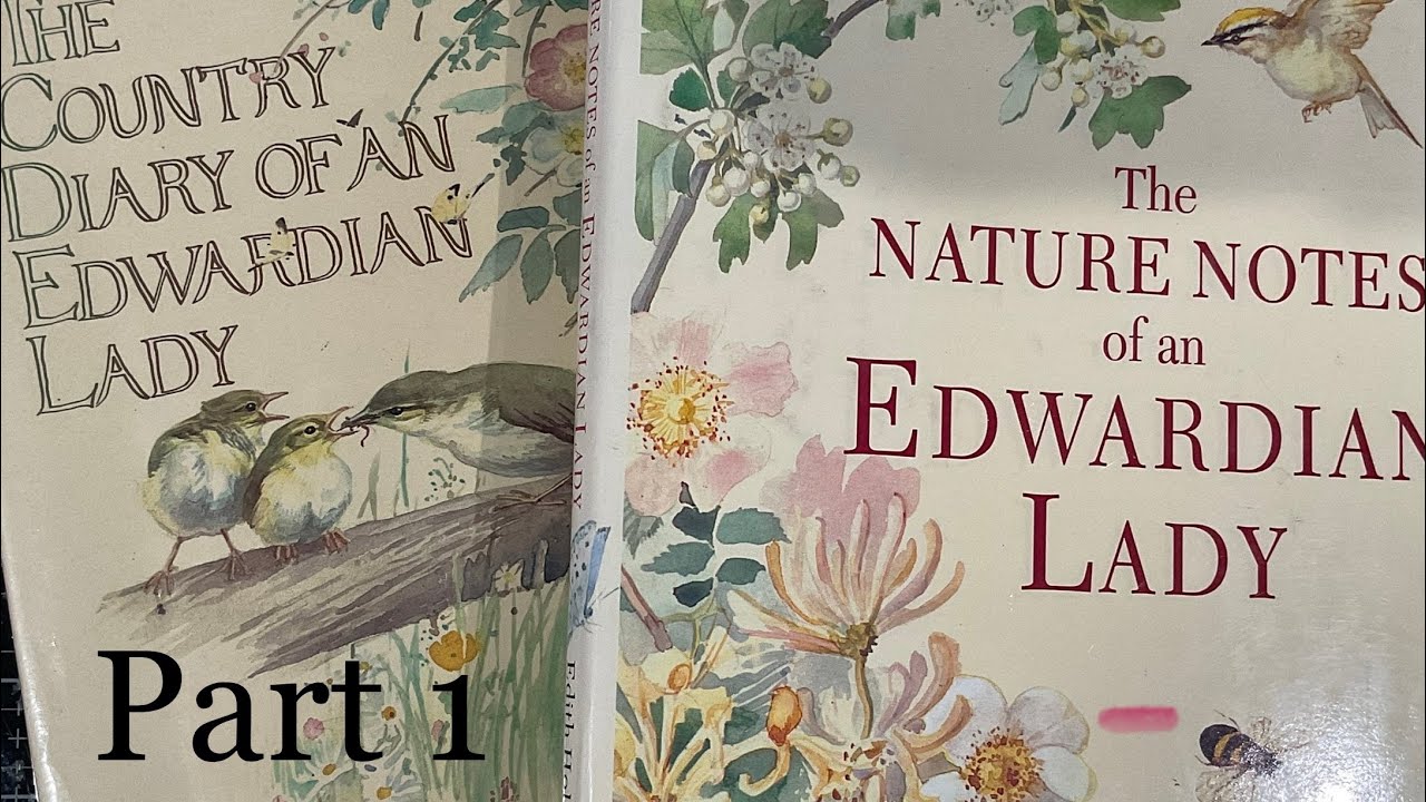 Part 1 Study of Edith Holden #edithholden #thecountrydiaryofanedwardianlady