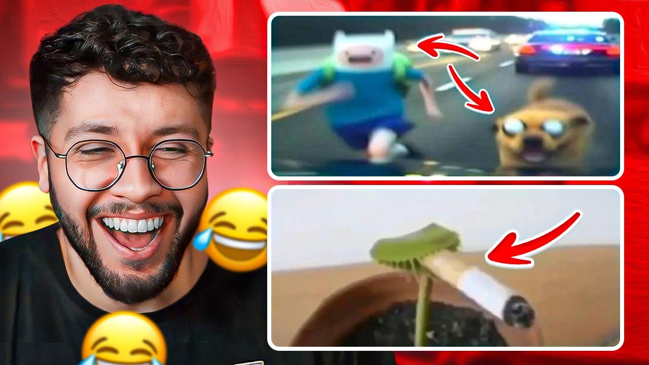 ميمز المتابعين 58: شجرة مدخنة ههههههههههههههههه