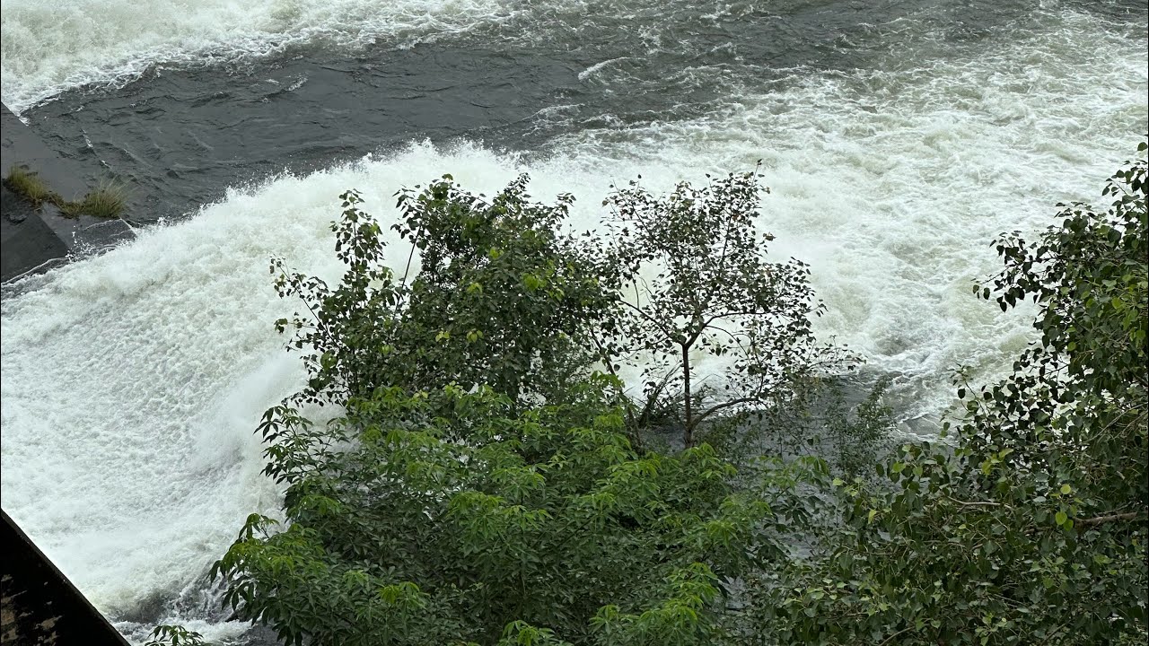 Tilaiya dam - Koderma dam #jharkhand @vikkikeshri 