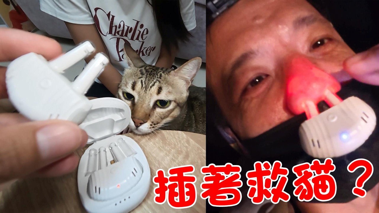 戴著舒鼻通去救貓的男人 ft.舒鼻通 brizzz