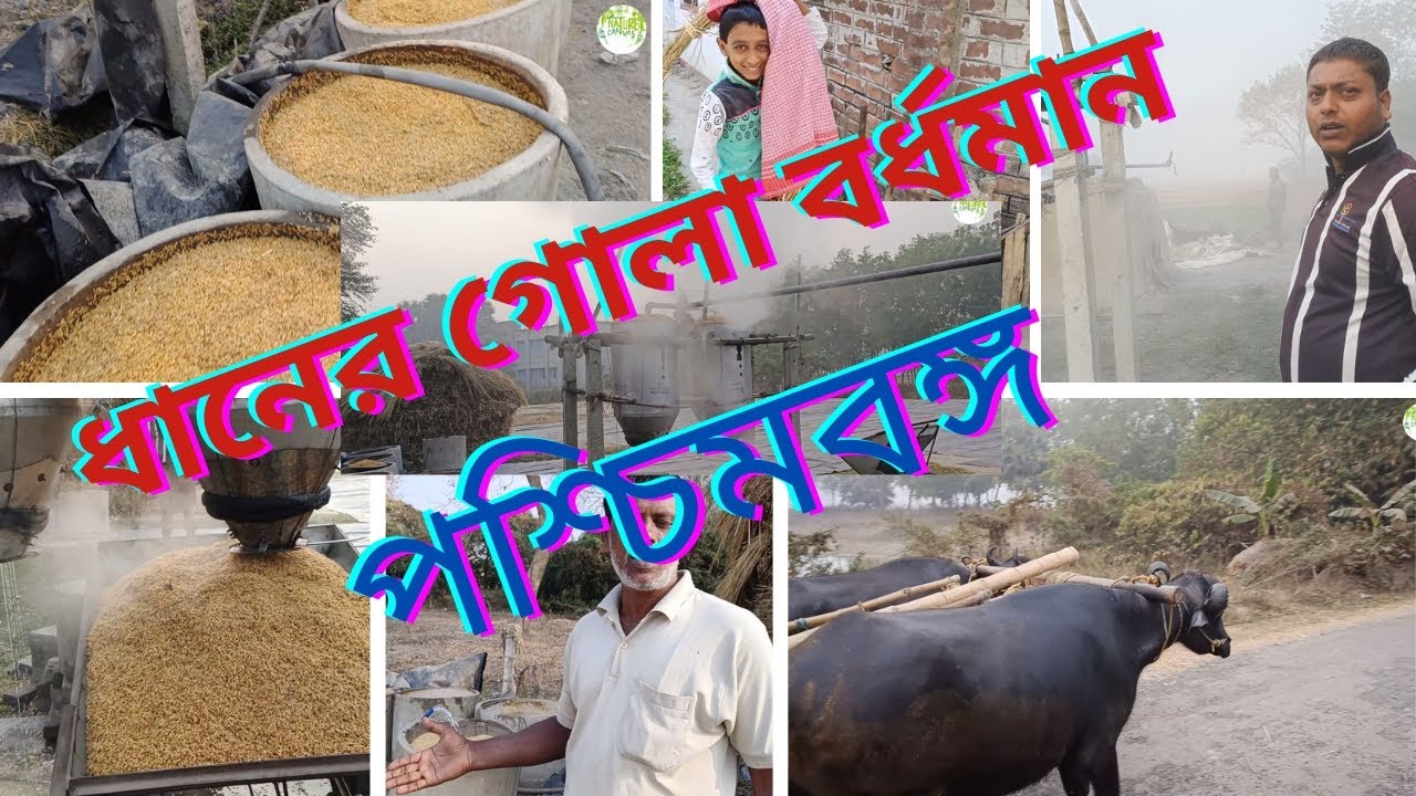 ধান সিদ্ধ করার যন্ত্র#steam #machine #পূর্ব বর্ধমান#Method #cooking #boiled #rise #paddy #india