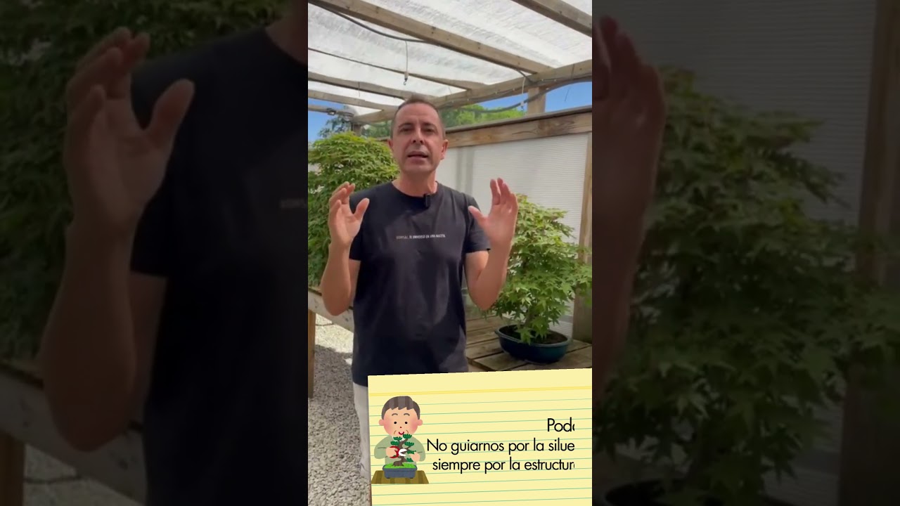 Retos: ✂ La poda 💧 El riego 🐛 Las plagas