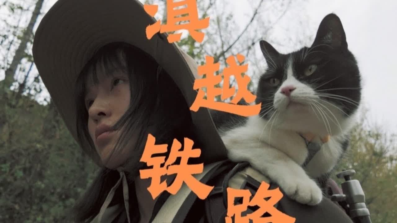 沿着废弃的滇越铁路徒步460公里 #自然 #观察人间 #旅行vlog #徒步 #滇越铁路