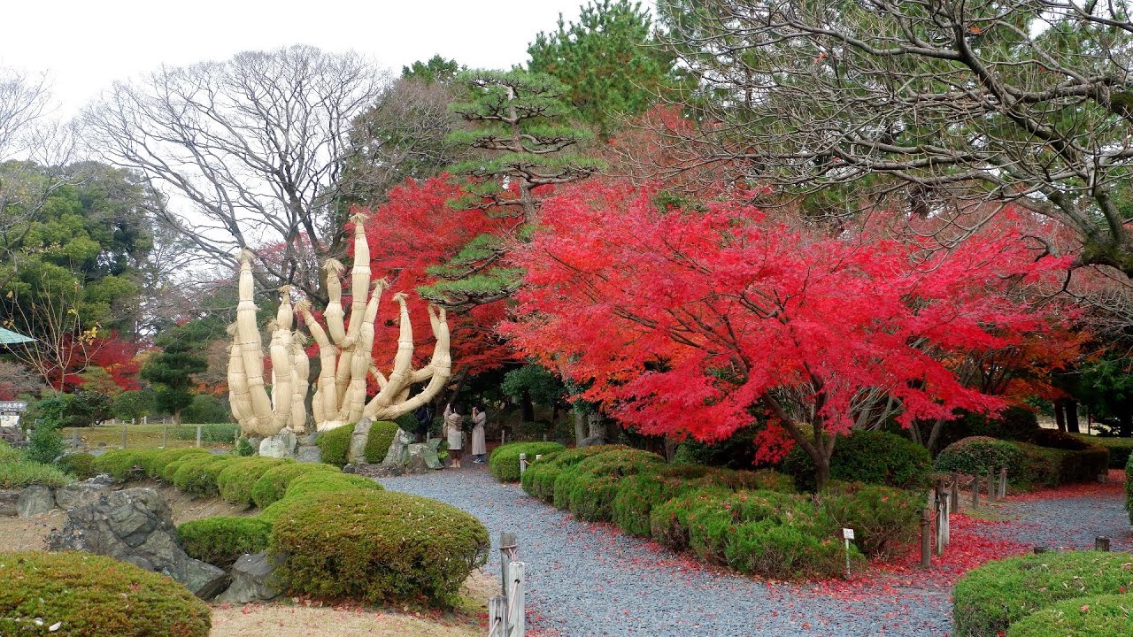 Autumn Leaves  in Nagoya Castle | Japan Travel - JV GO
