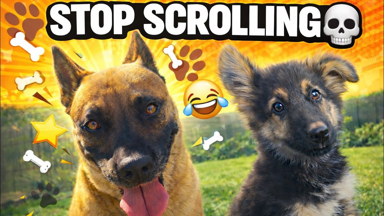 Stop scrolling 