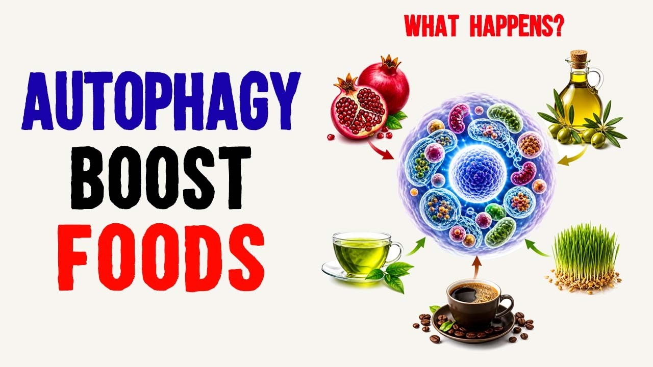 5 Foods That Boost Autophagy When Combined With Fasting (Fasting Benefits)