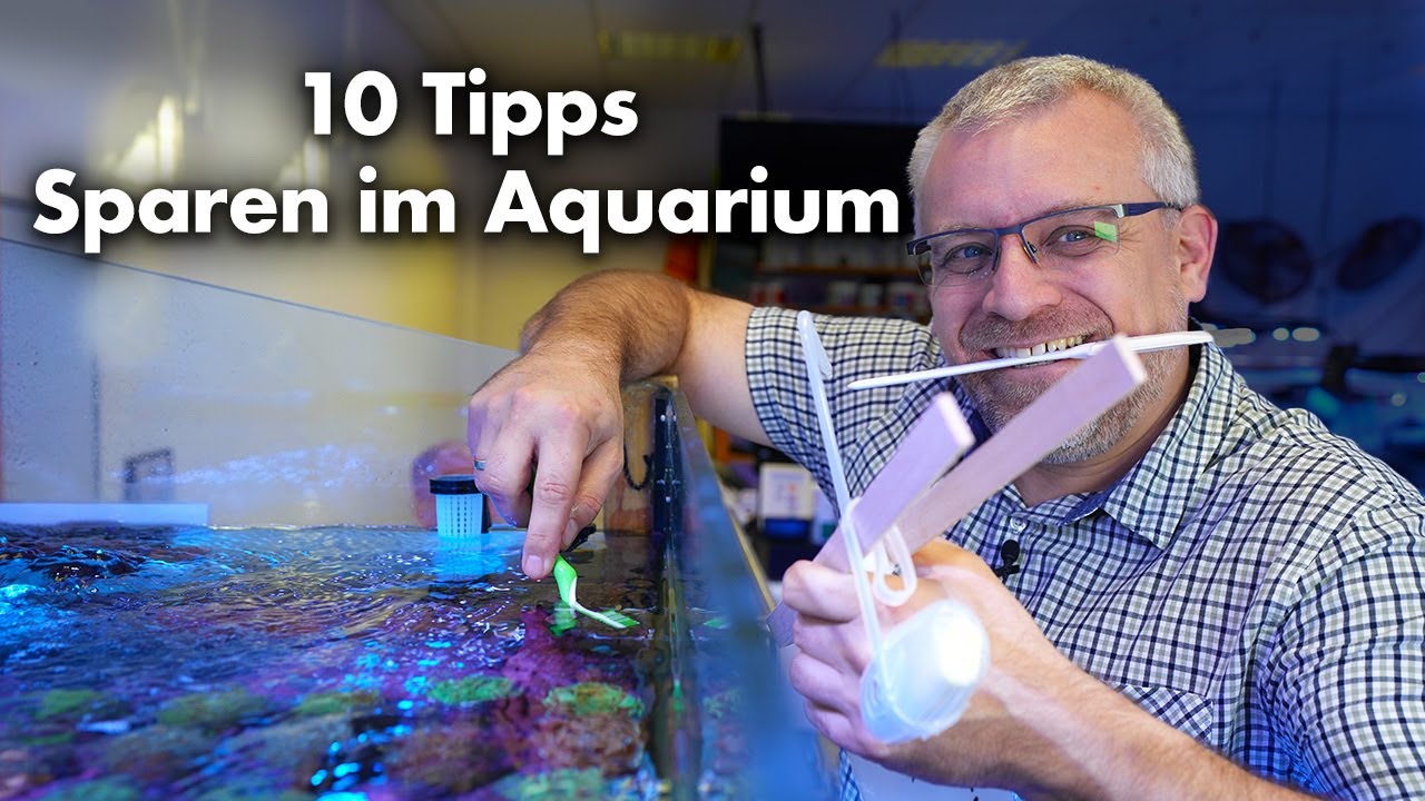 10 Tipps SPAREN IM AQUARIUM - 