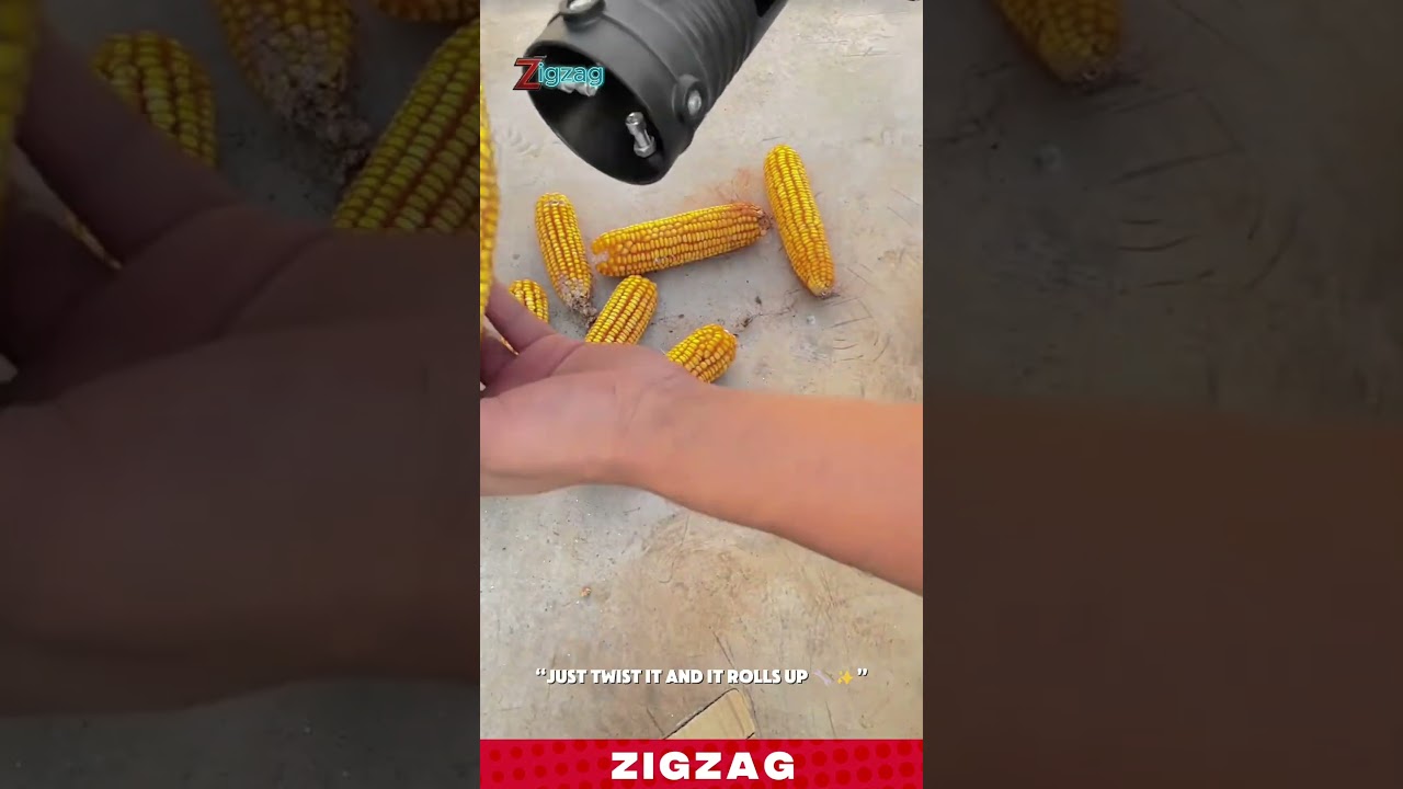 Simple & Efficient Corn Thresher for Shelling and Harvesting in Small Farms