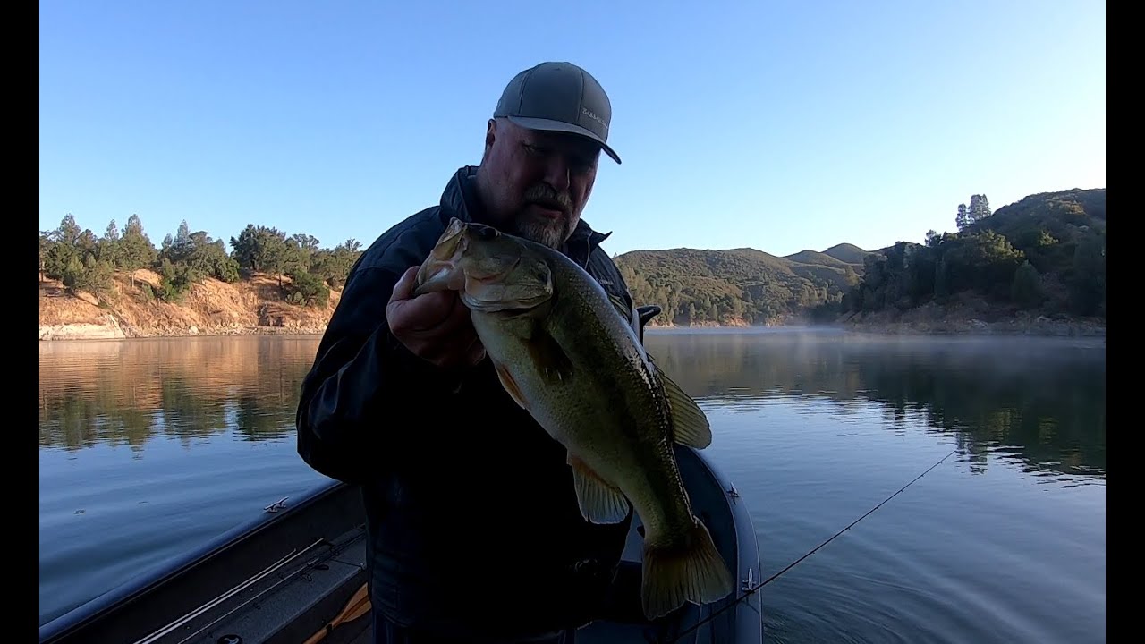 Largemouth Bass: Yamamoto 6.5 Kut Tail Worm