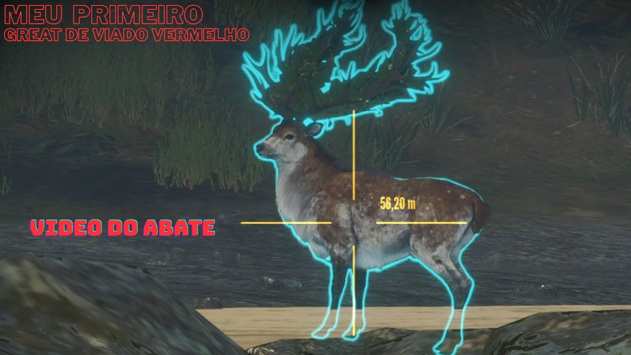 ABATE DO MEU PRIMEIRO GREAT DE VIADO VERMELHO