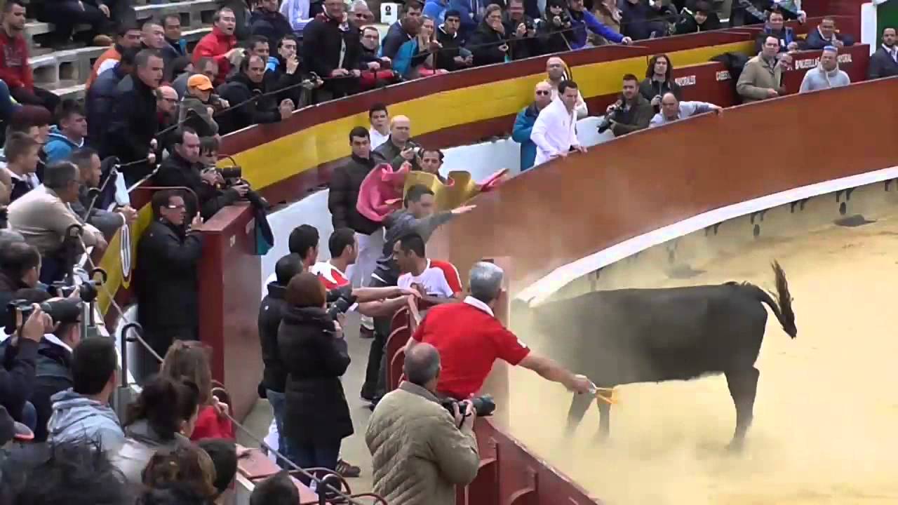 Castellon concurso de anillas 29 3 2014 Ganado Ozcoz