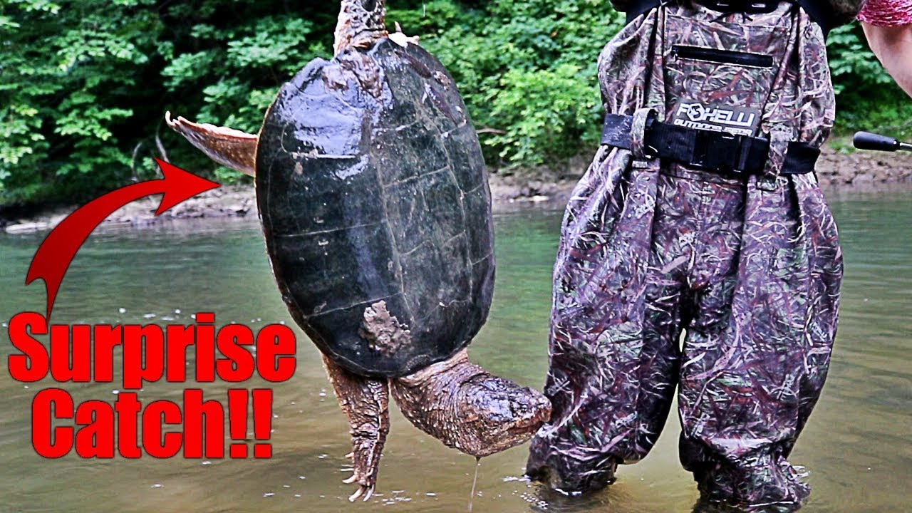 My Son Wader Fishing for Bass: Foxelli Outdoor Gear