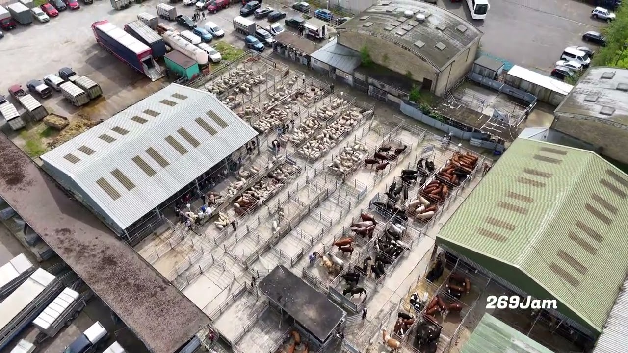 Drone footage of Norwich Livestock Market 13/04/24.  (first flight) DJI Mini 4 Pro