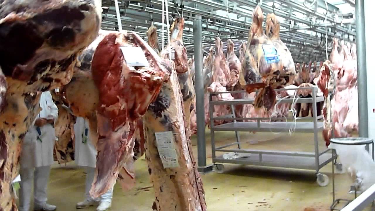 Rungis - A walk in the meat section