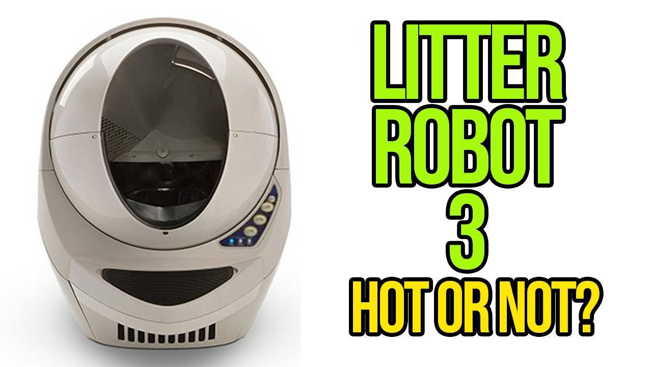 Обзор Litter Robot 3 — 2 года спустя! — Стоит ли его покупать?