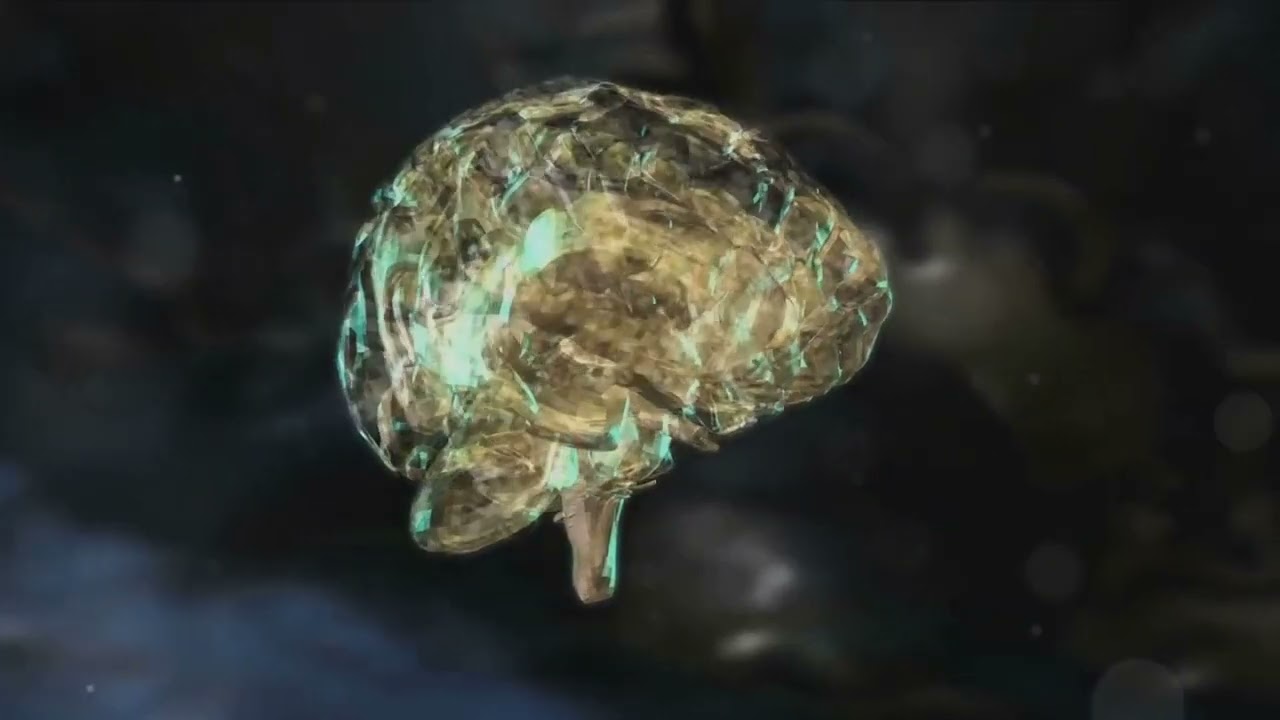 Decoding the Mind: Conscious vs Subconscious