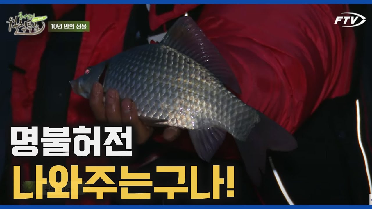 월척 붕어를 만났던 추억의 장소에  방문한 대물꾼 이광희 [붕어낚시 월척특급/796회]