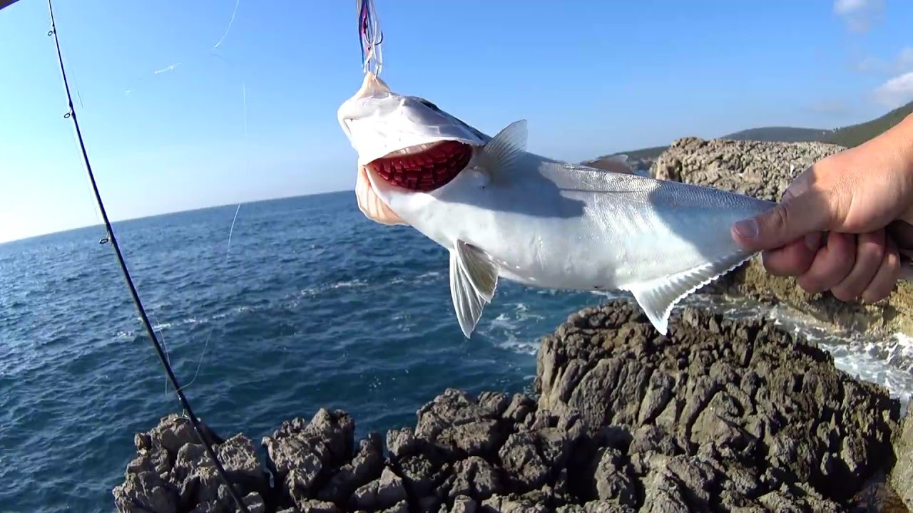 Inchiku shore jigging. Hayabusa Kick Bottom 60grams. Amberjack. 01.02.2016.