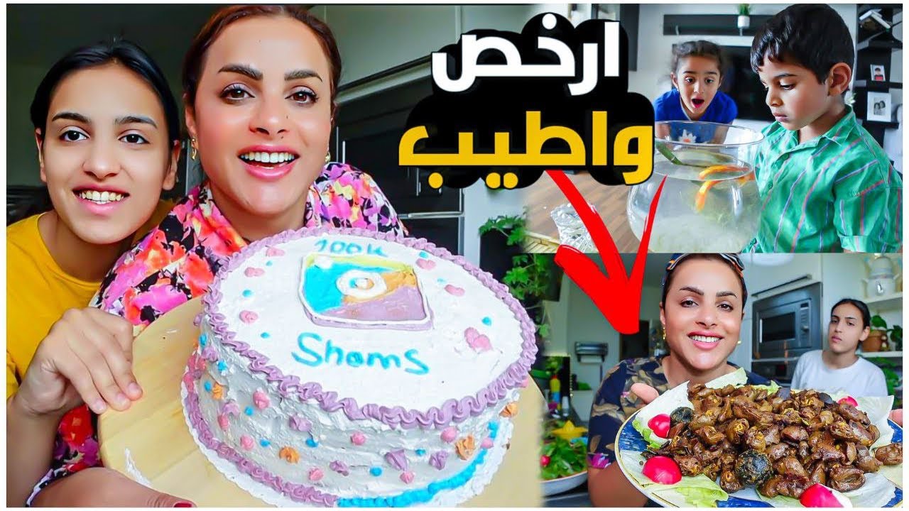 روتين/طريقة طبخ الدجاج 🐓ومشتقاته بدون زفرة/كيكة شمس ل100 الف