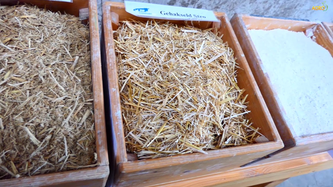 COMPACT VOEREN AGRUNIEK RIJNVALLEI