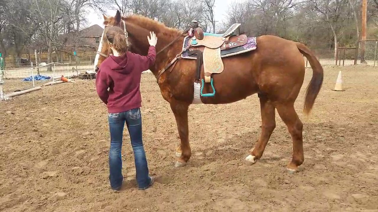Youth Riding Lessons for begginer youth barrel racing - exercises to help establish controled turns