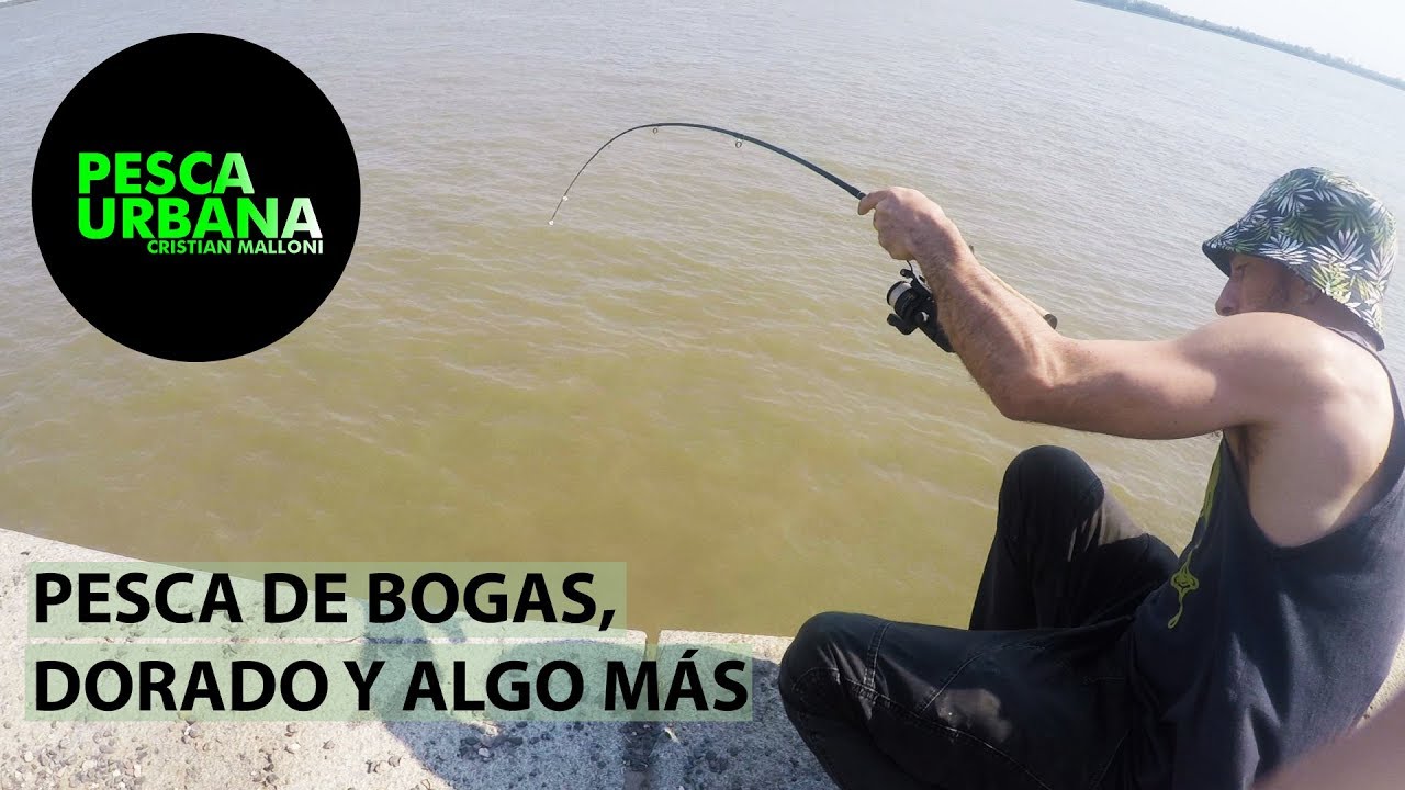 Día de pesca, pescamos bogas, diferentes modalidades y carnadas, PESCA URBANA, Street Fishing