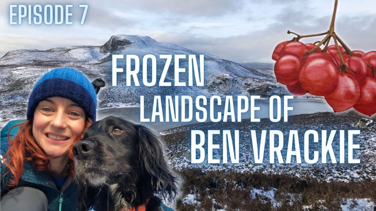 Frozen Landscape - Hiking Ben Vrackie Near Pitlochry & Painting Guelder Rose Berries