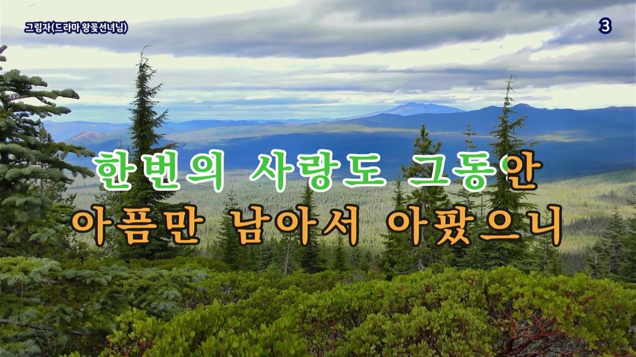 연속 연주 7곡(서해에서 외), #가요, #노래, #휴식, #힐링, #shorts, #잔잔한, #발라드, #조용한, #기쁨, #kpop