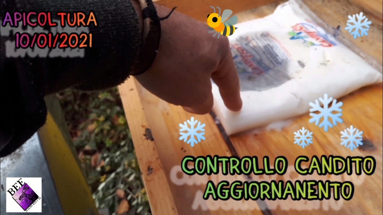 Apicoltura controlliamo il Candito...