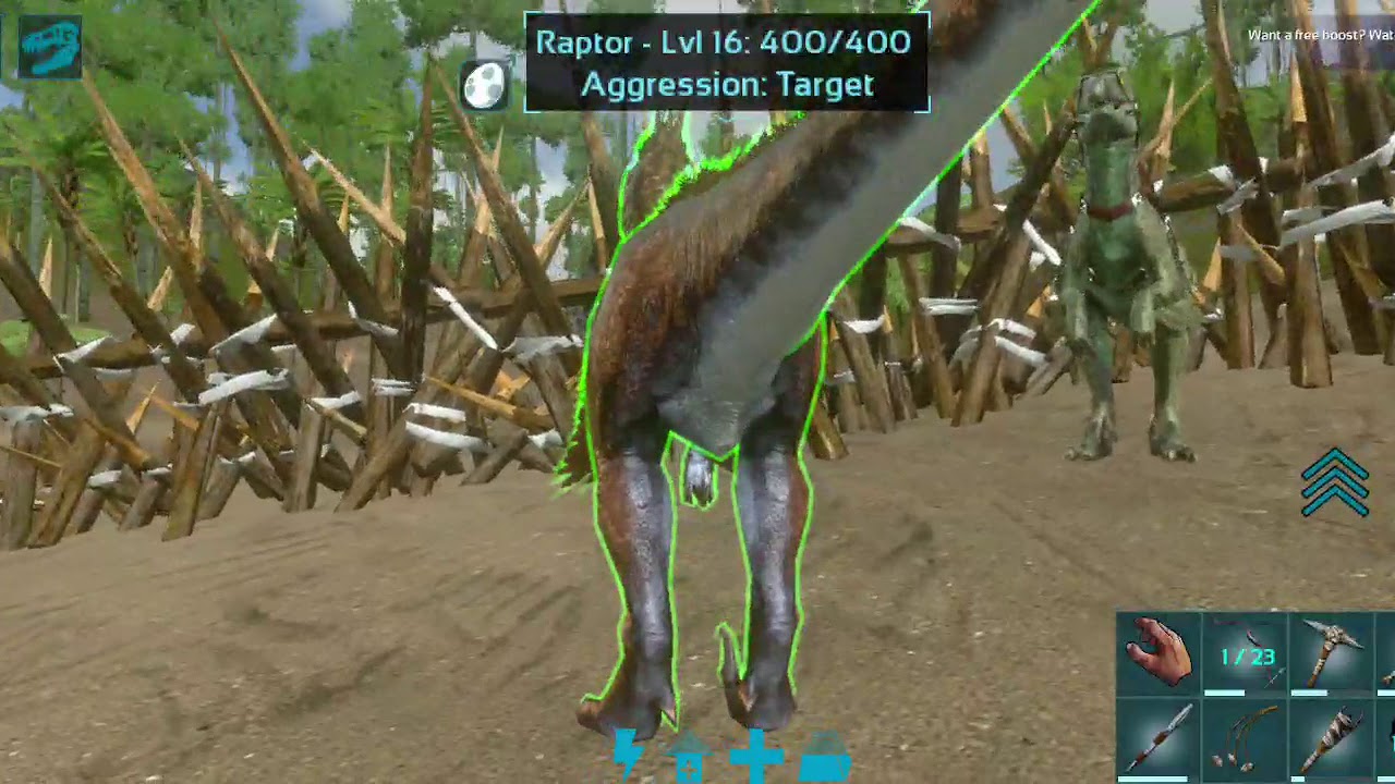 Kurdish ark